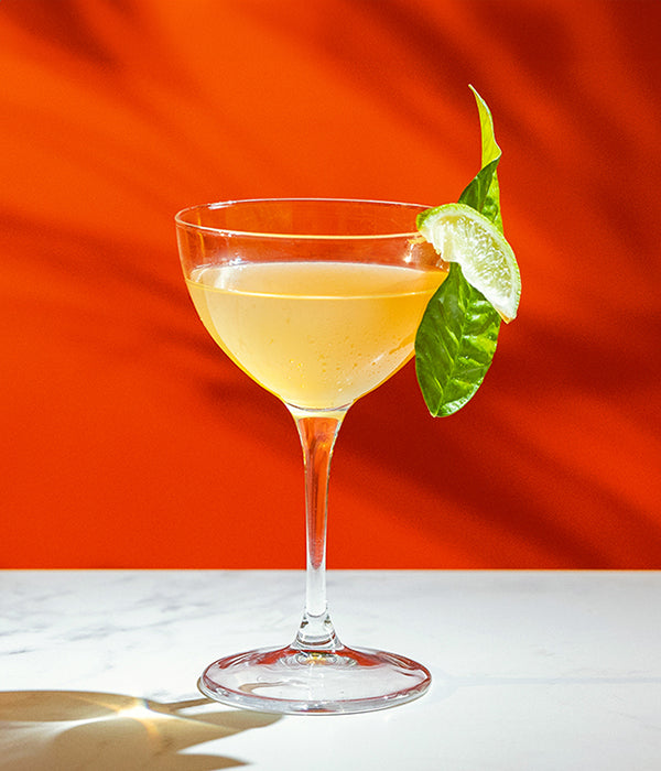 Daiquiri