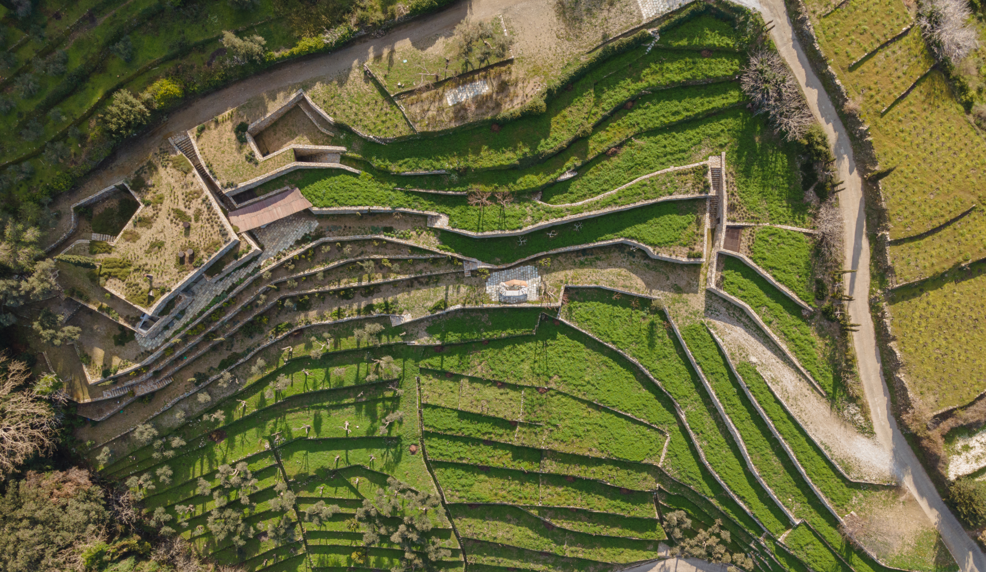 Unveiling the Secrets of METAXA LIKNON