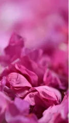 Image of dry flowers