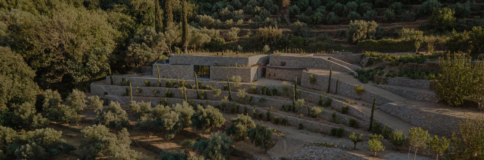 METAXA vineyard on Samos